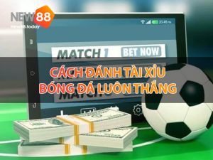 Cách đánh tài xỉu bóng đá luôn thắng