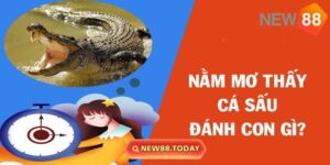 Luận số lô đề nằm mơ thấy cá sấu